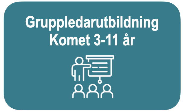 Gruppledarutb komet 311